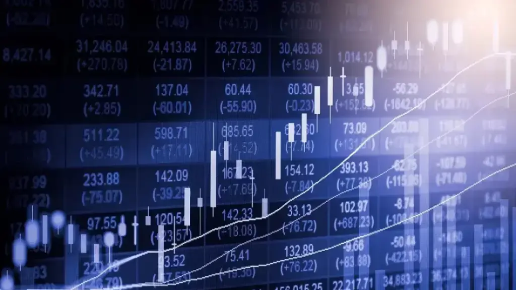 White Paper: Crores embezzled from stock market alone