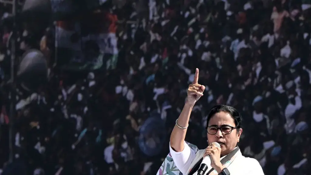 Mamata Banerjee suffers head injury