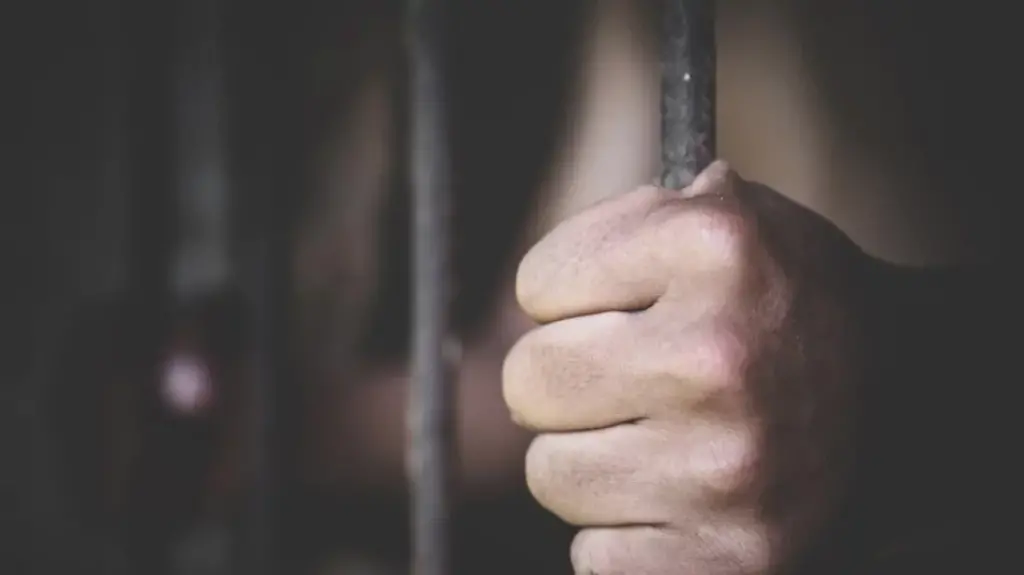 47 BNP-Jamaat activists sent to jail in Chuadanga