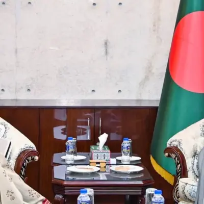 UNHCR may involve India, China more in Rohingya repatriation